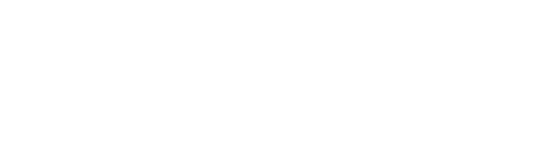 ПК СВ "Брест"